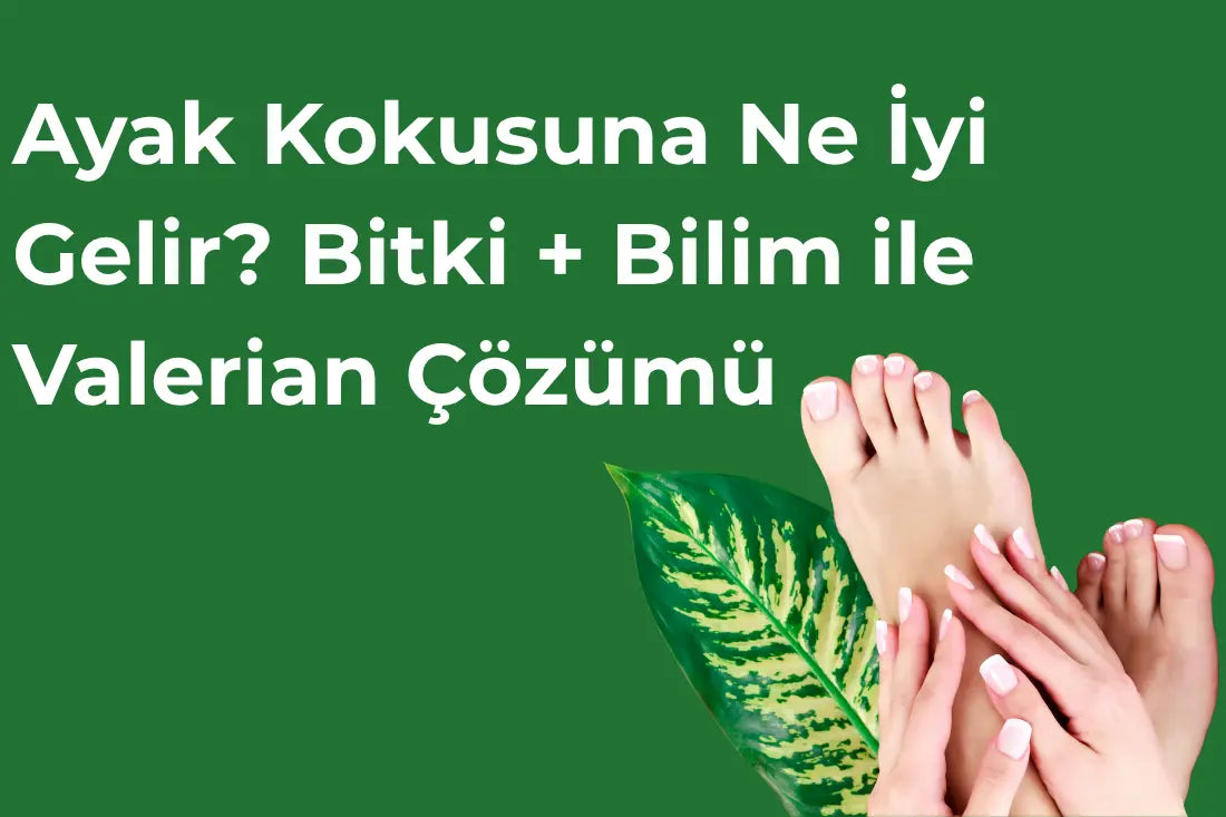 Ayak Kokusuna Ne İyi Gelir? Bitki + Bilim ile Valerian Çözümü